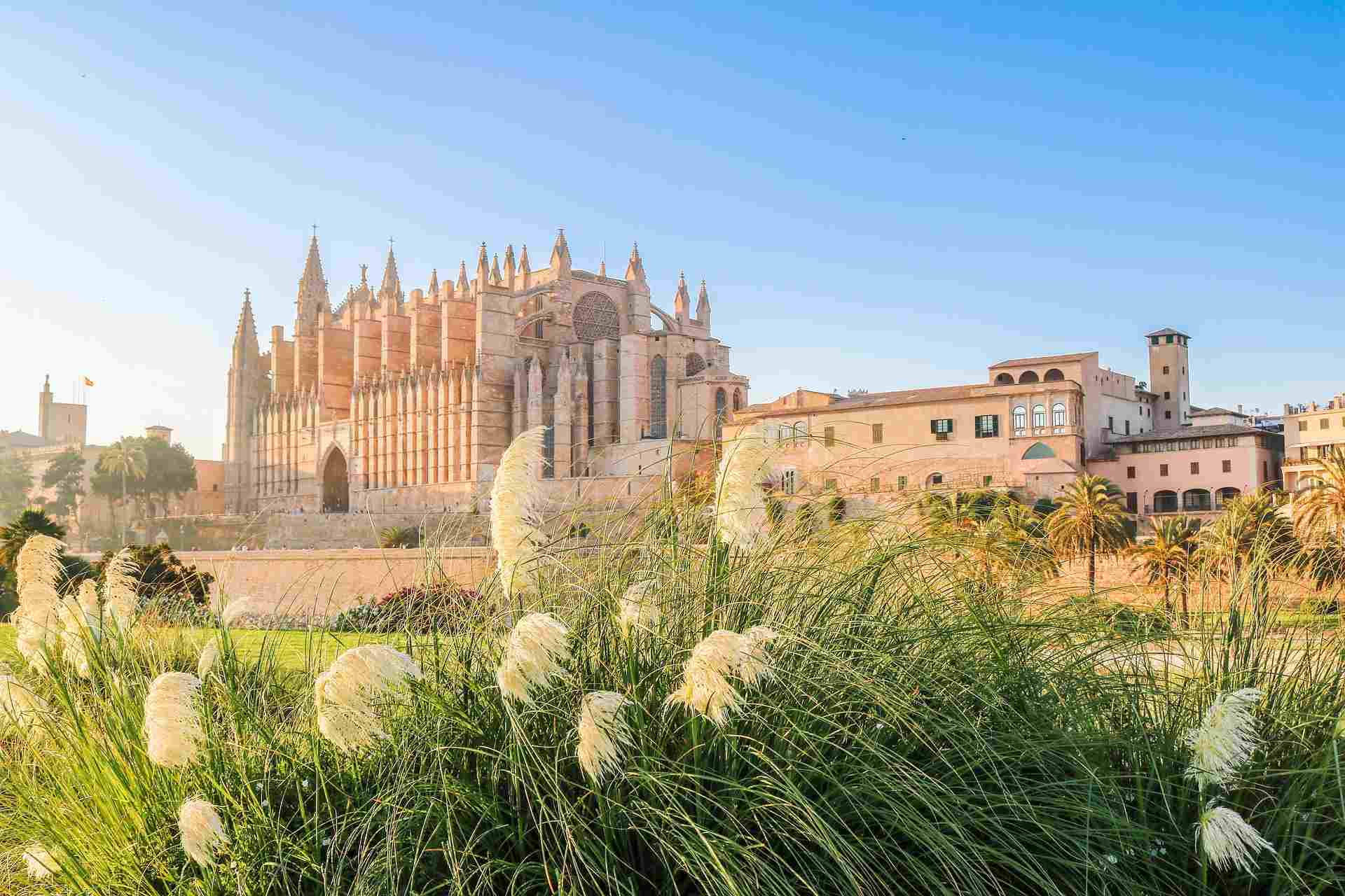 Palma Kathedrale