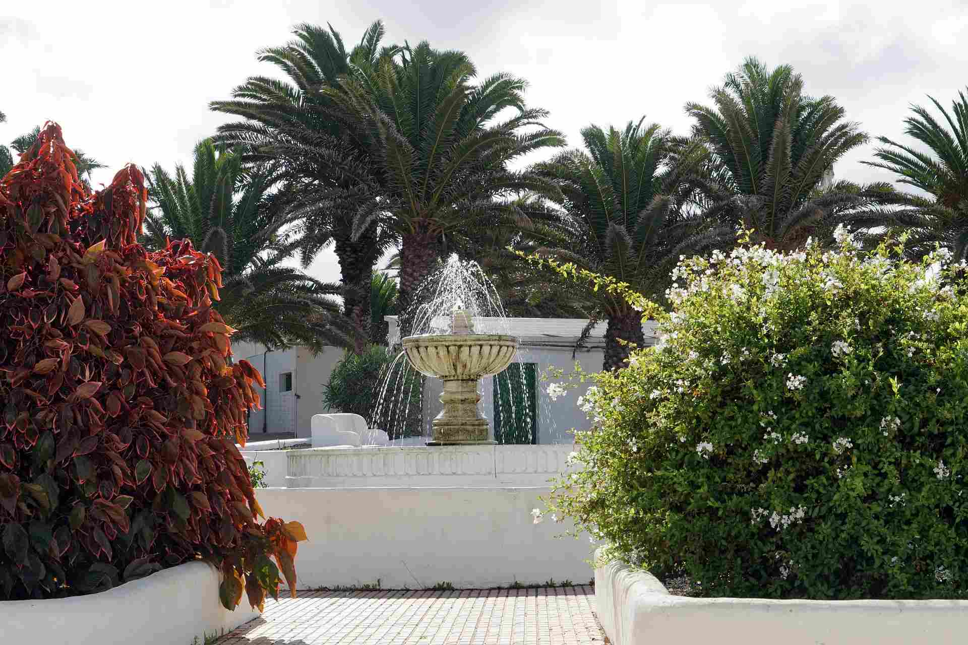 Brunnen im Ort Teguise auf Lanzarote