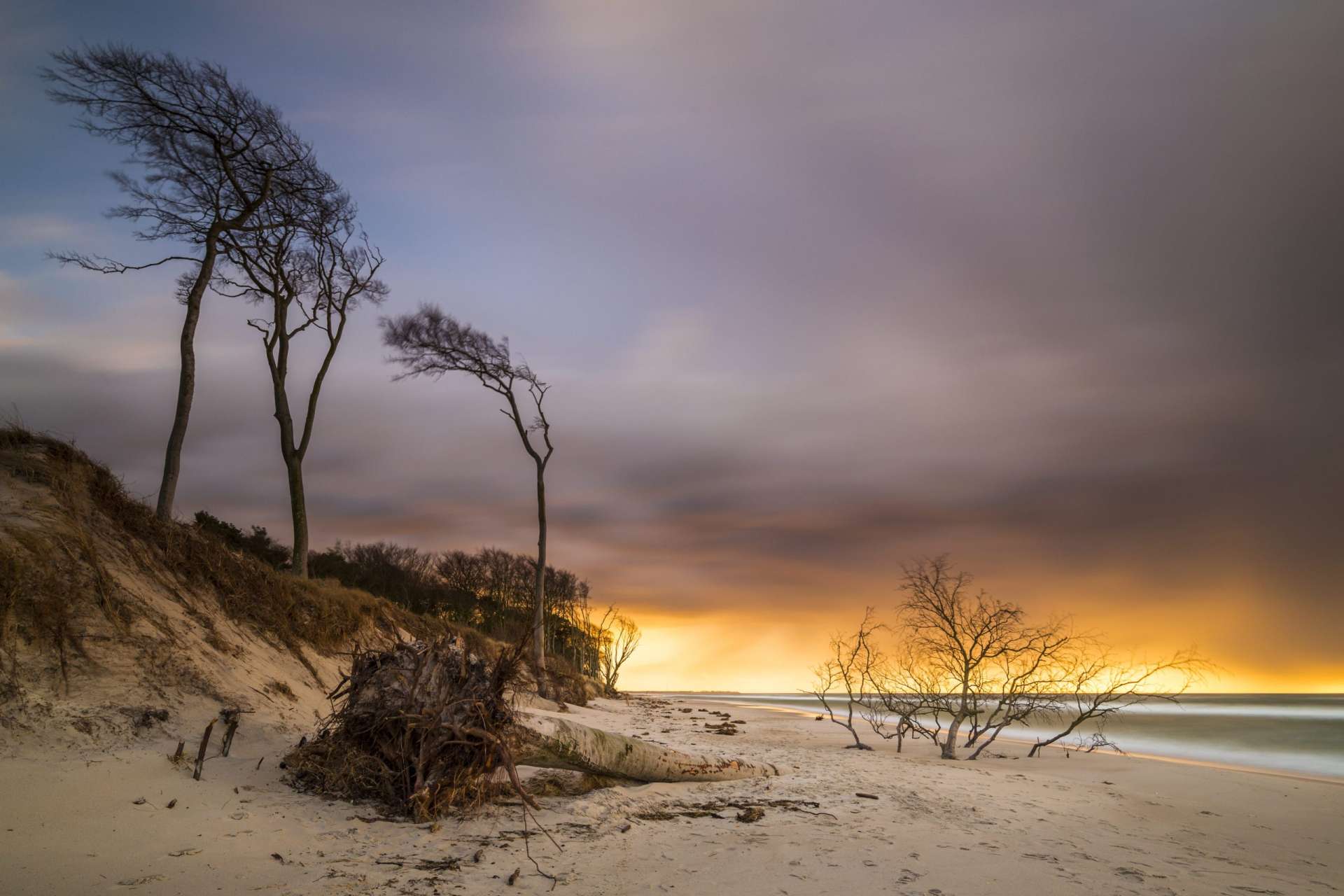 Lichtstimmung am Darßer Weststrand