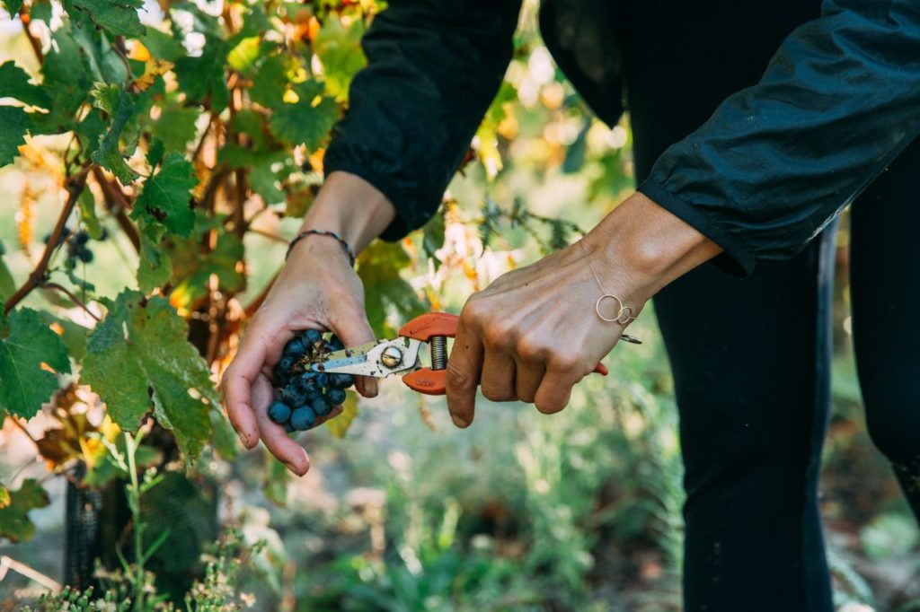 Sandwein aus dem Département Les Landes