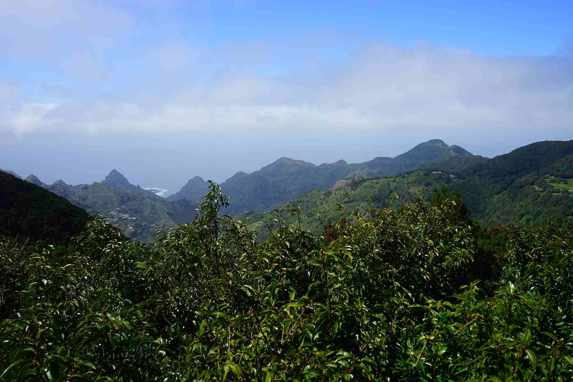 Anaga Gebirge Teneriffa