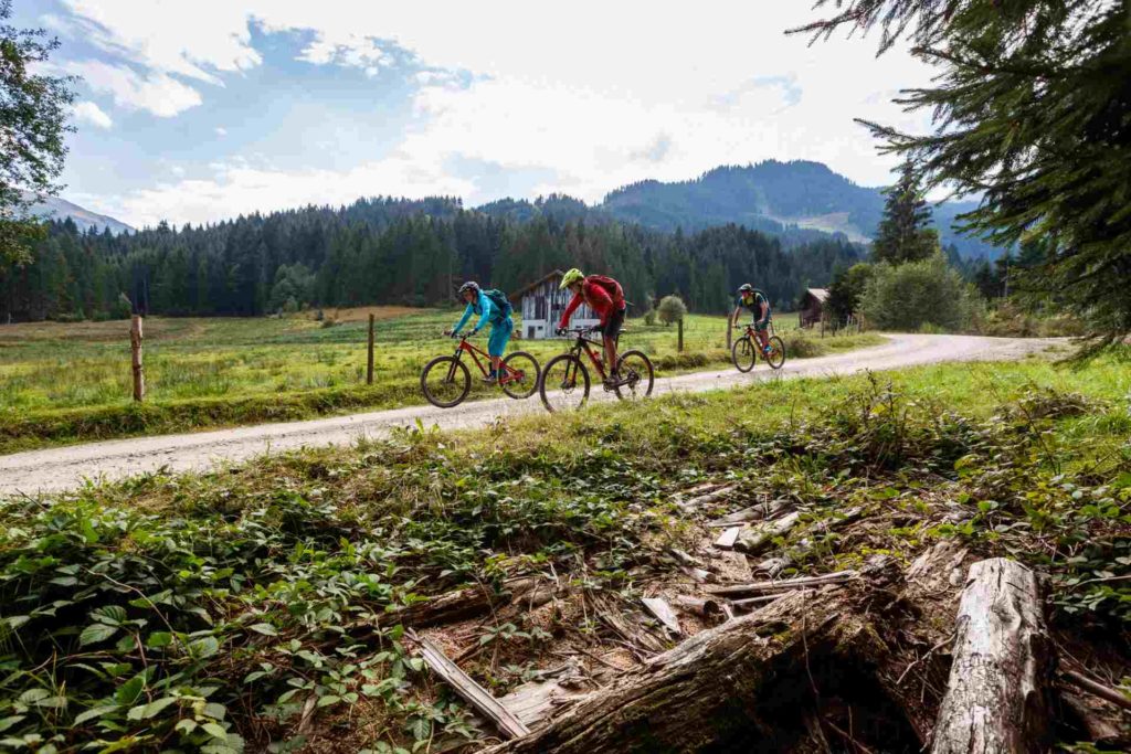 Geführte Mountainbiktouren durch die Kitzbüheler Alpen
