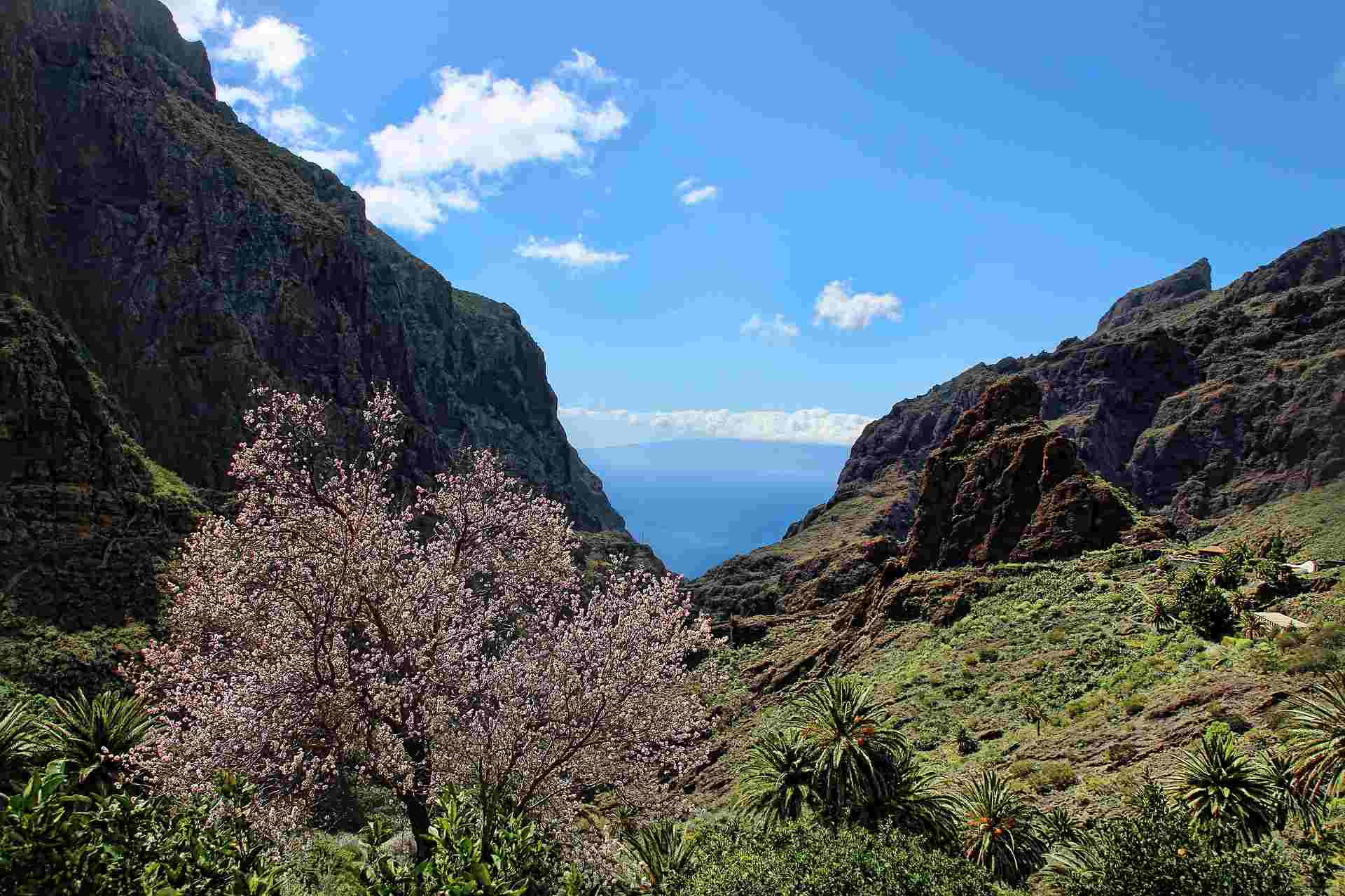 Wanderung durch die Masca Schlucht