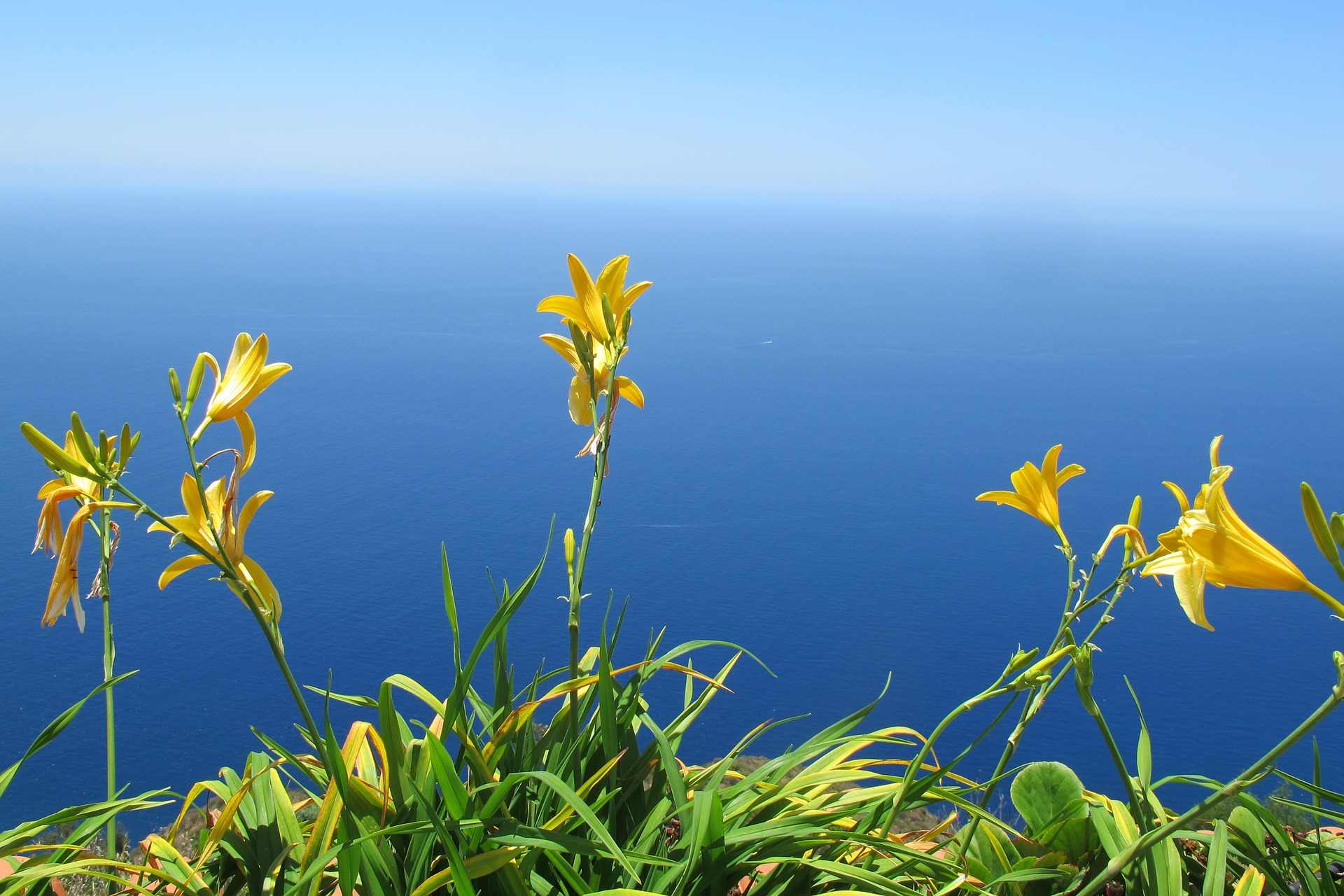 Calheta Madeira