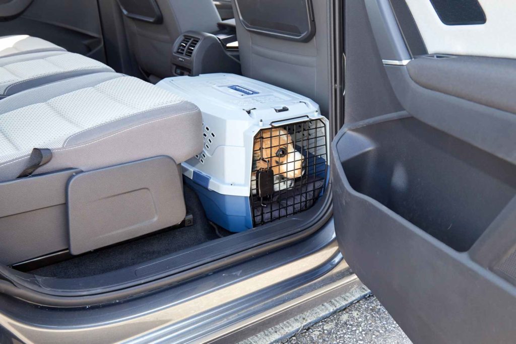 Kleine Hundebox im Fußraum des Autos