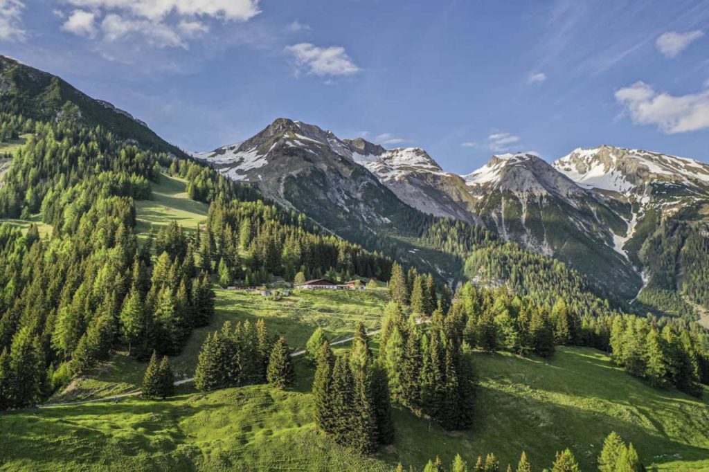 Nessler Alm oberhalb von Pettneu