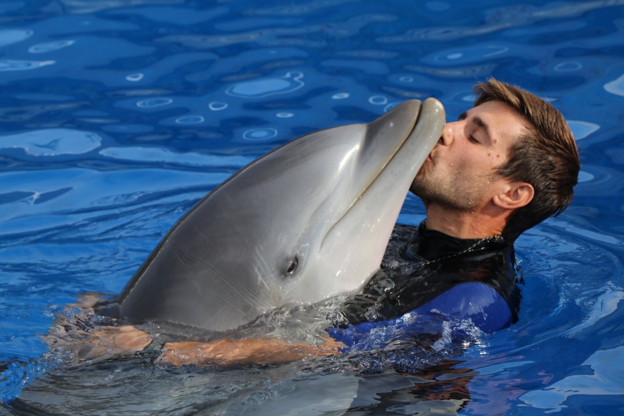 Delfin kuschelt mit Pfleger im Marineland Mallorca