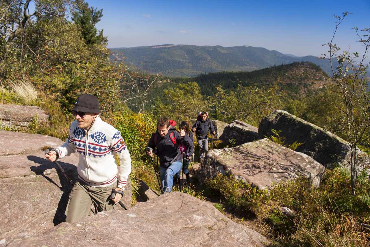 Herbstwanderung in den Vogesen