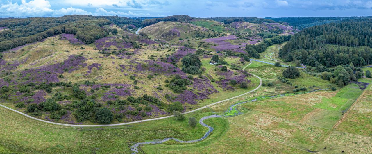 Hügel- und Heidelandschaft im Naturschutzpark Rebild Bakker