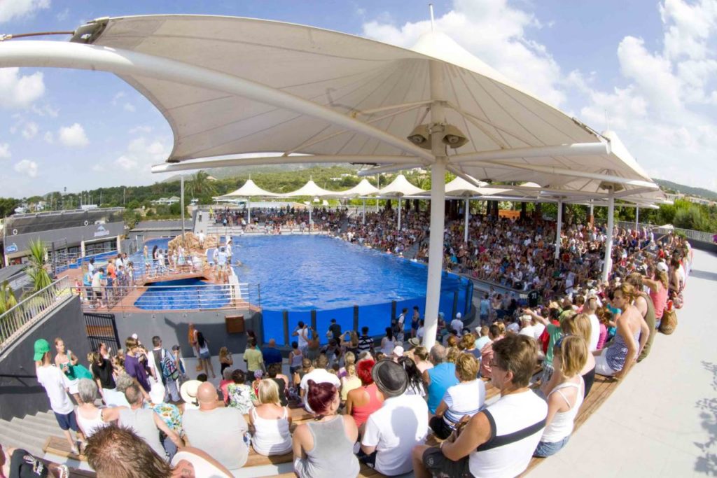 Panorama-Stadion mit Besuchern im Marineland Mallorca