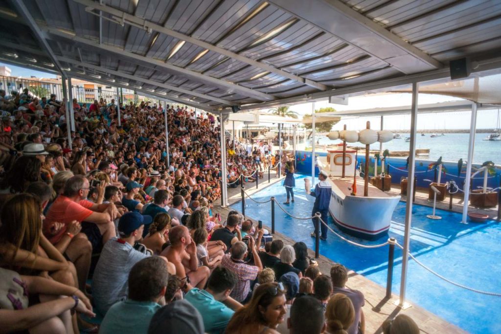 Vogelshow im Marineland Mallorca