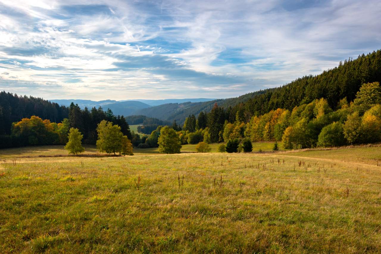 Wanderung Grünes Band Lichtentanne