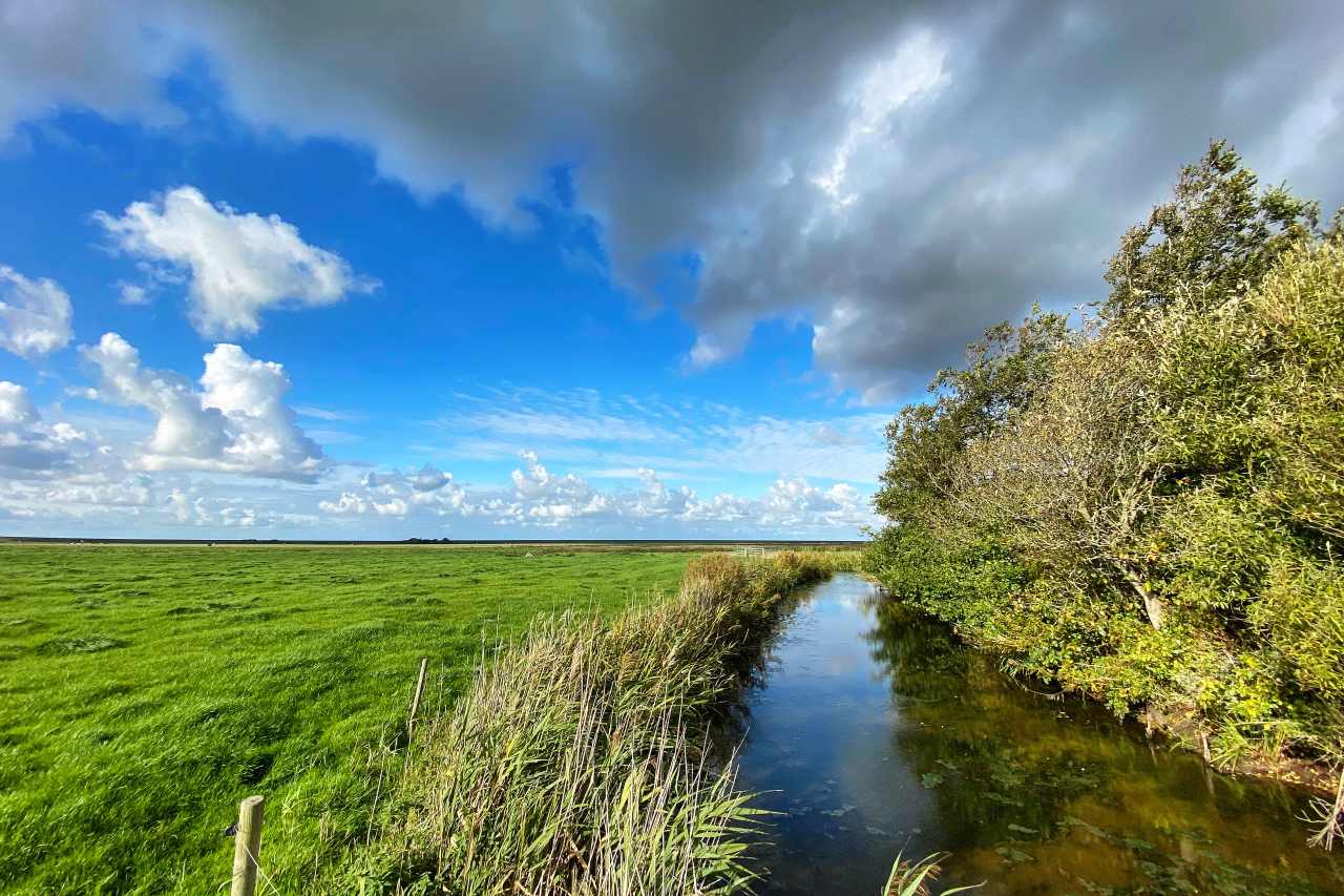 Burggraben der Wogemannsburg in Westerhever