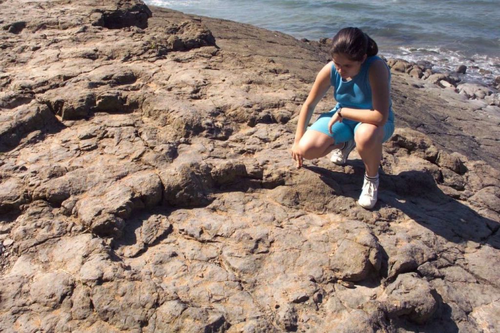 Dinosaurier-Fußabdruck an der Playa de la Griega in Colunga