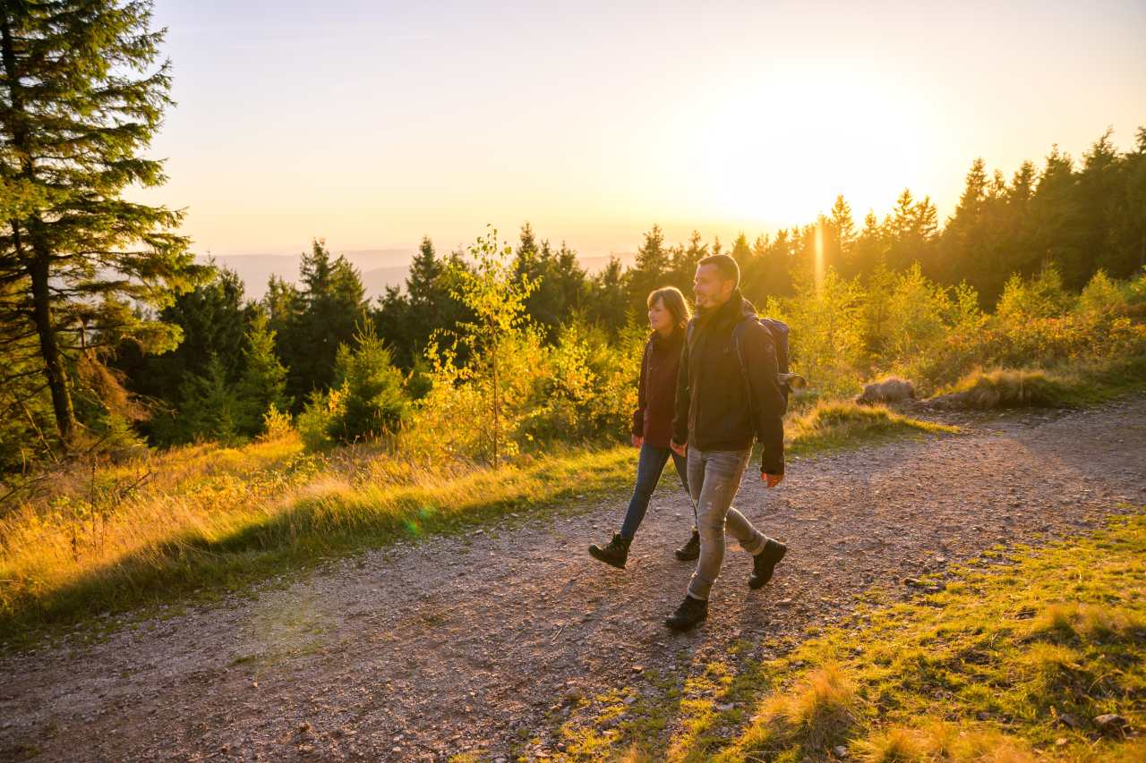 Plänckners Aussicht Rennsteig