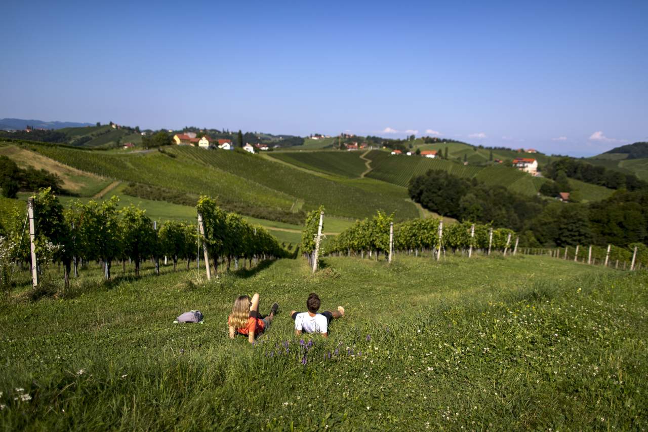 Wanderer Pause Weinstock Südsteiermark