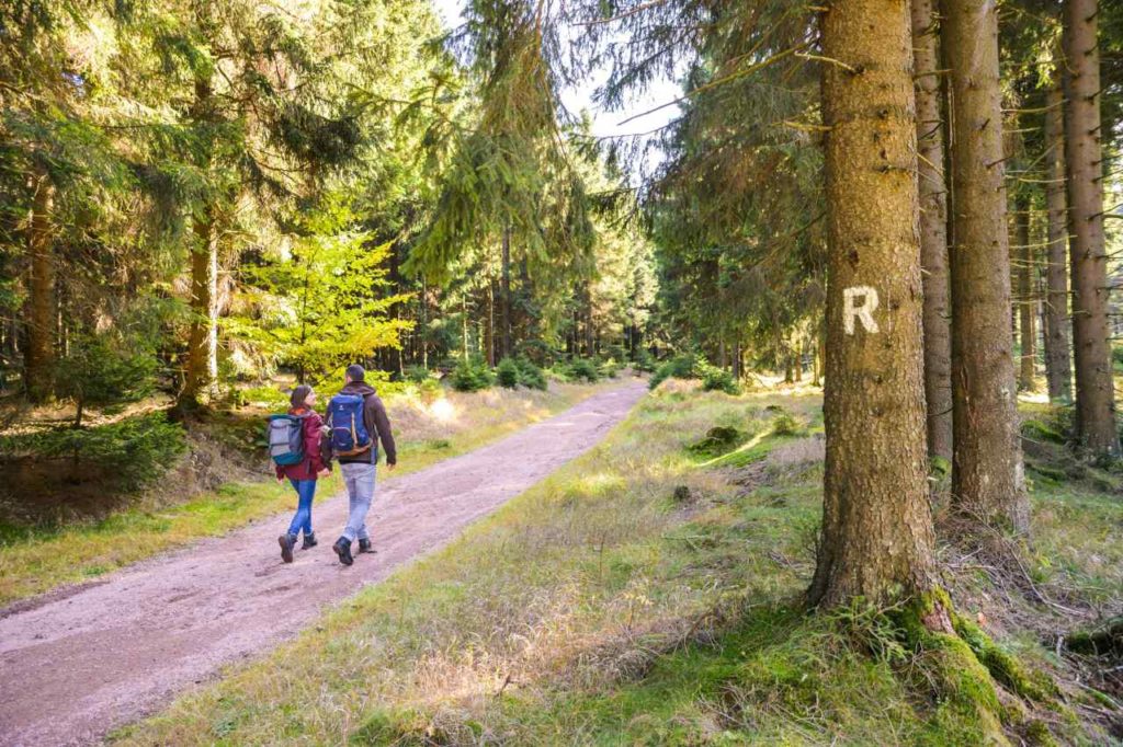 Wanderer auf einem Rennsteig-Weg