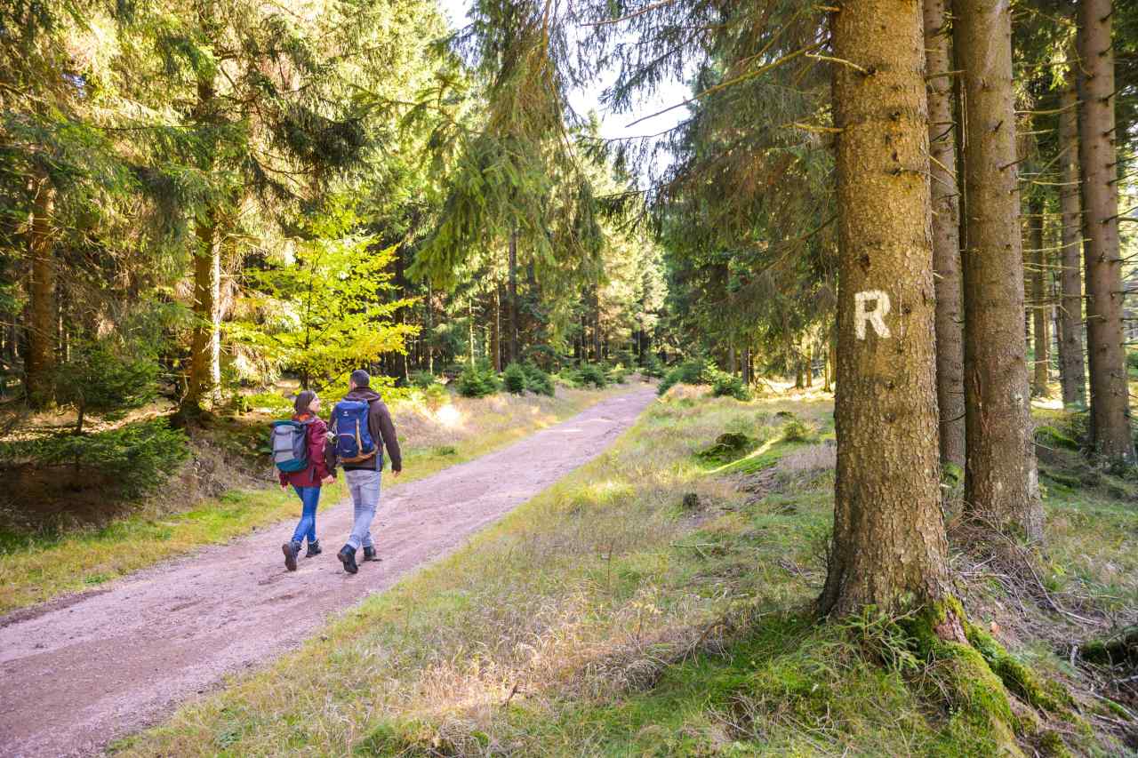Wandern in Thüringen - fünf beliebte Wandertouren