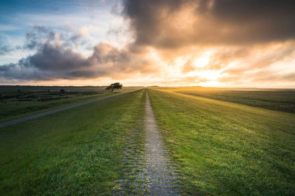 Wiesen-Wanderweg auf Borkum