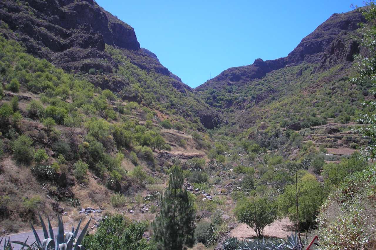 Barranco de Guayadeque