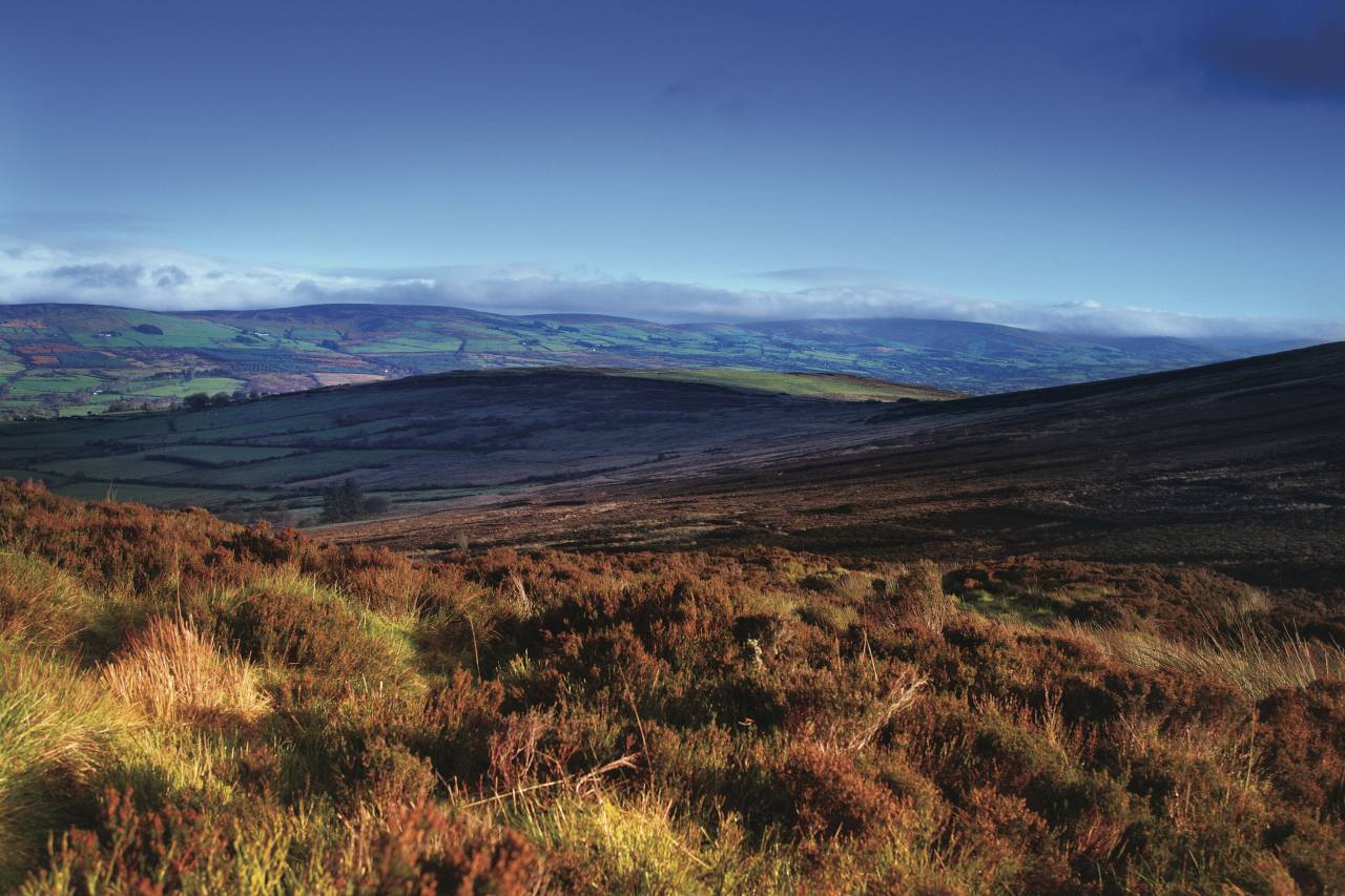 Heidelandschaft in den Sperrins in Irland