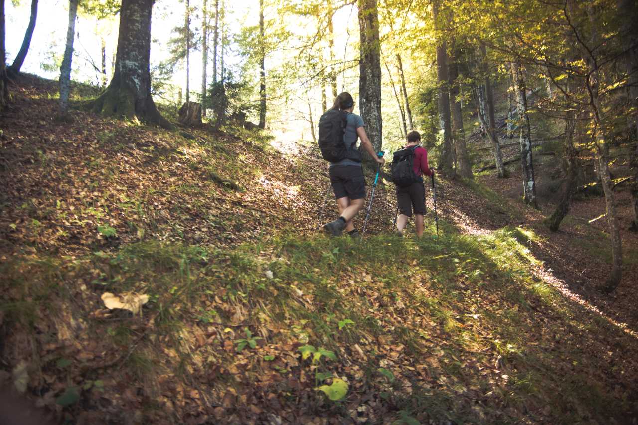 Wanderer im Herbst auf dem Bettlersteig