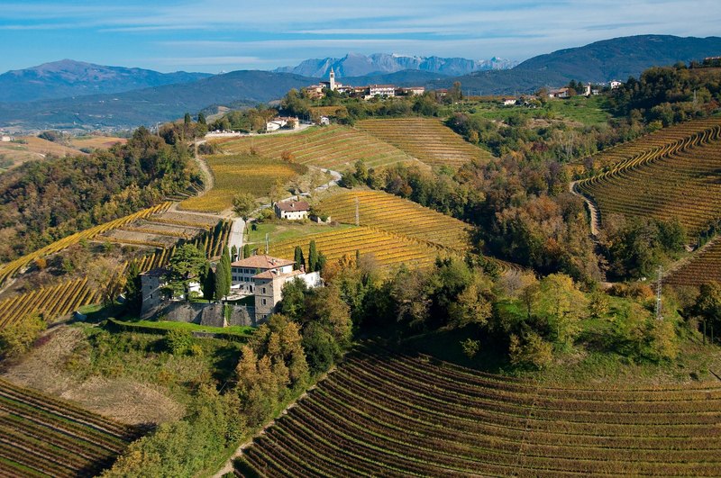 Weinberge bei Ruttars