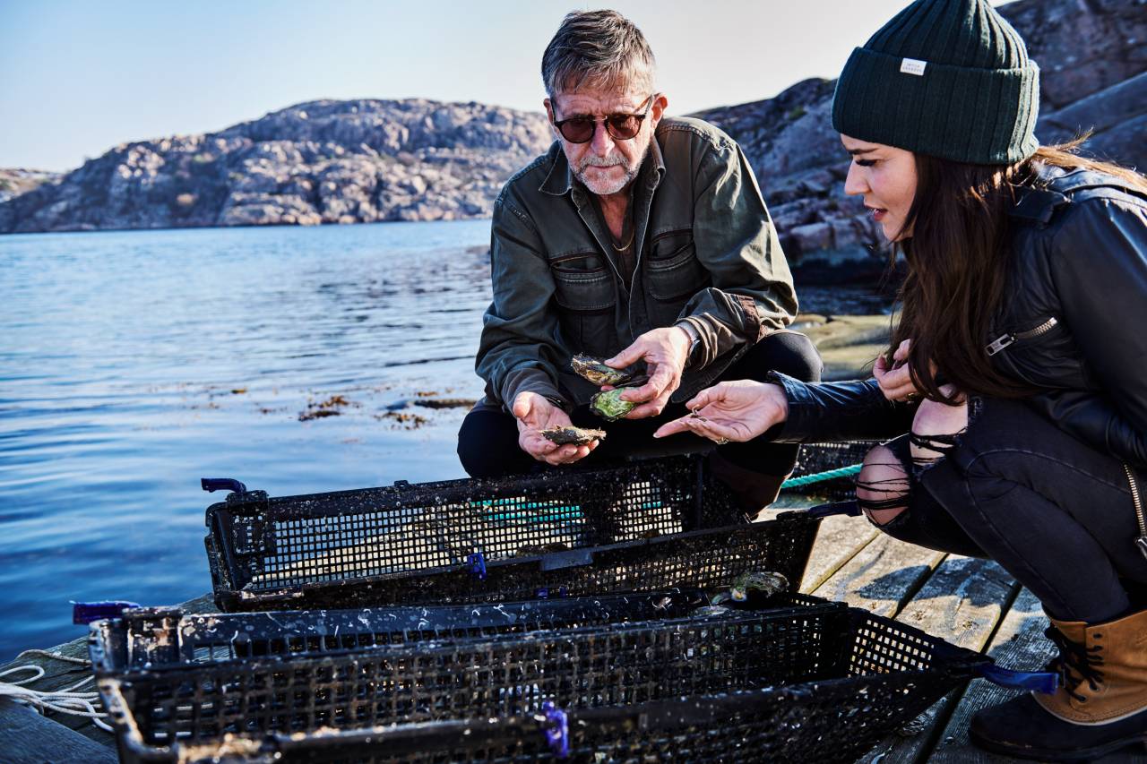 Austern- und Muscheltour in Lysekil