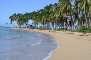 Palmenstrand Dominikanische Republik