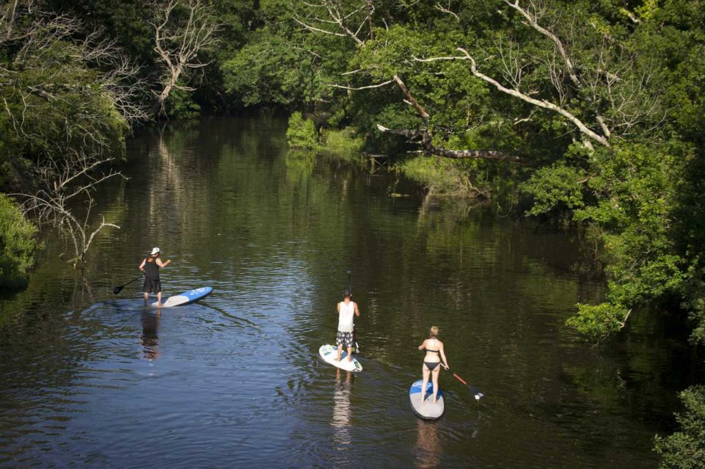 Stand up-Paddler auf dem Courant de Contis