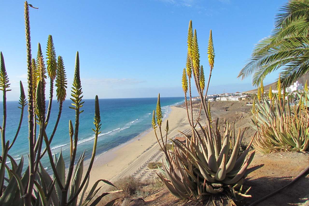 Playa de Esquinzo - Traumstrand auf Fuerteventura