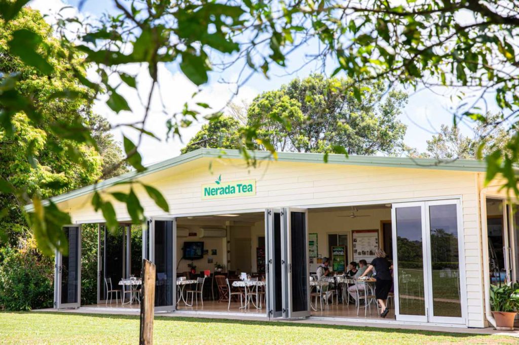 Teemischung nach eigenem Geschmack herstellen im Tea Room von Nerada