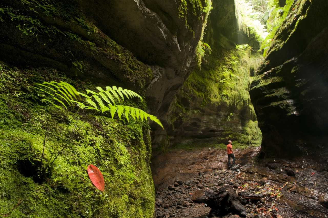 Grüne Umgebung von Puntallana auf La Palma