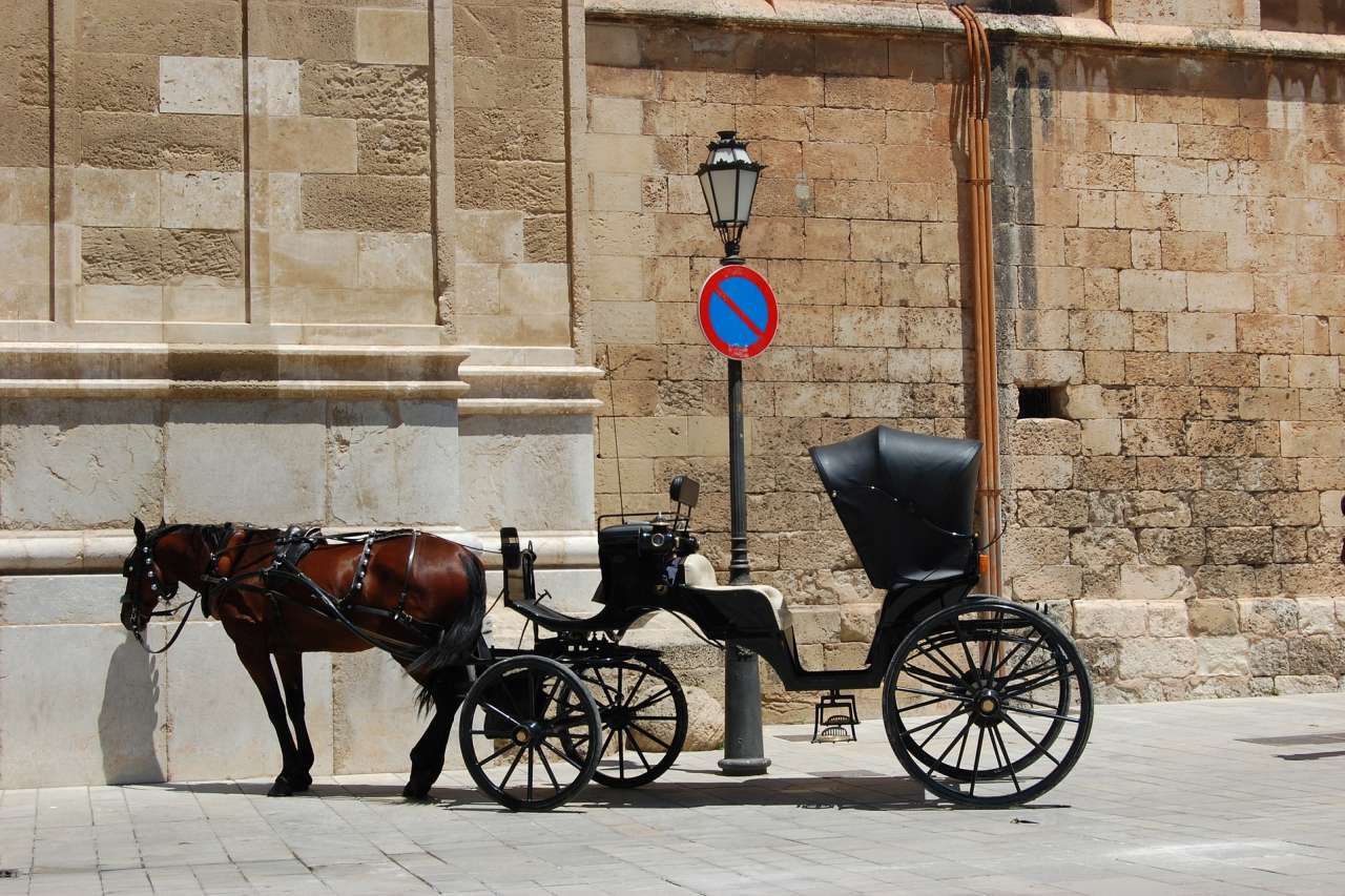 Pferdekutsche in Palma de Mallorca