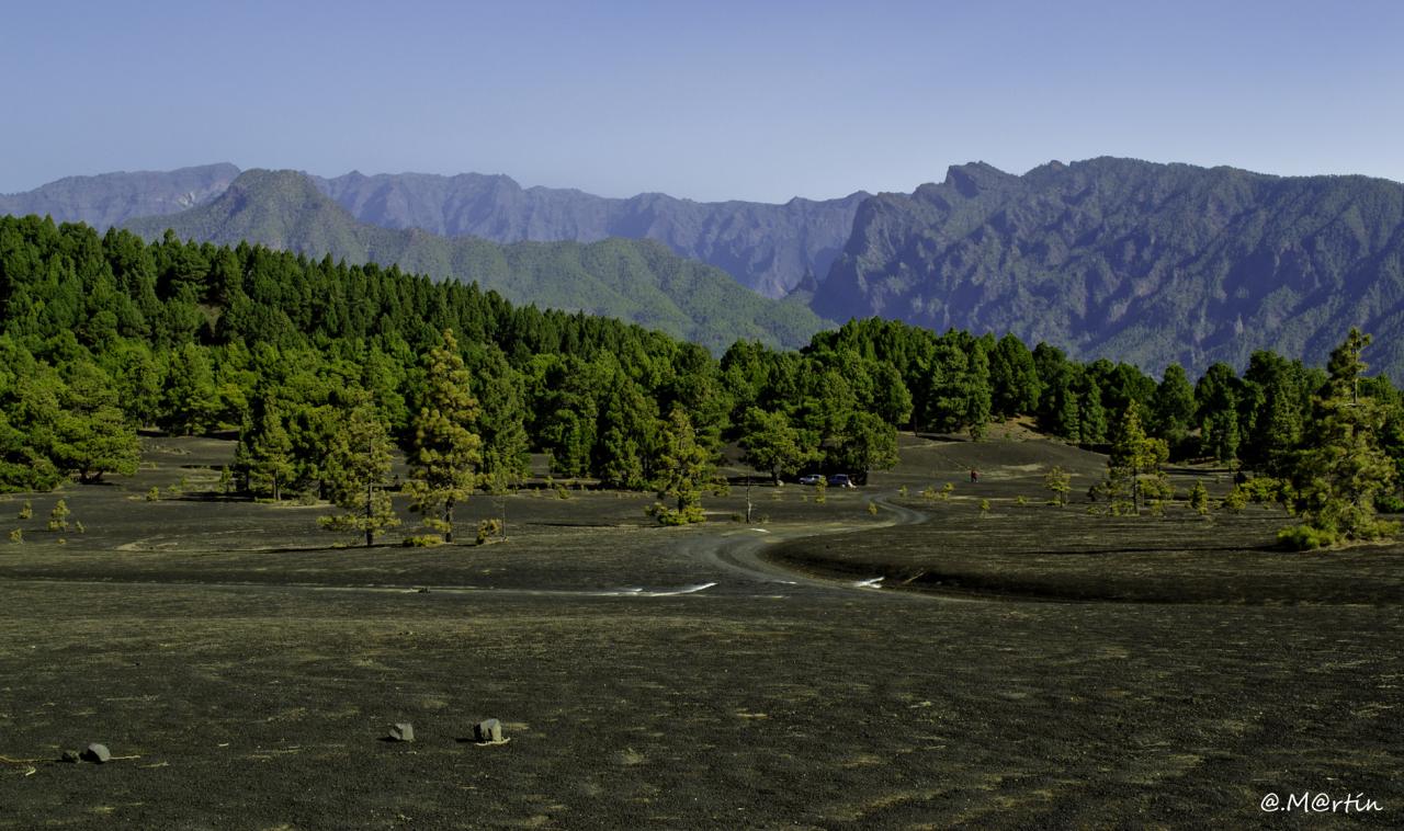 Sandwüste Llano del Jable