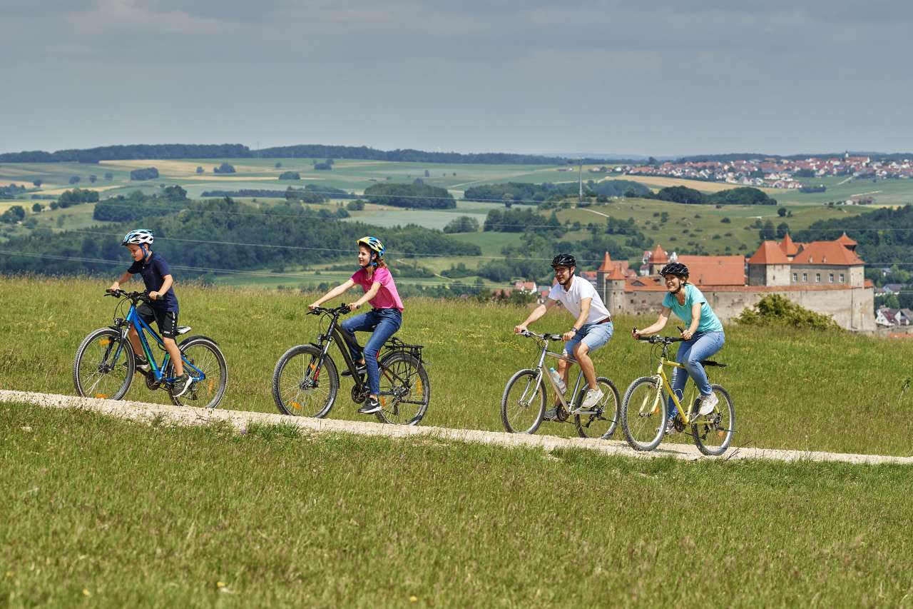 Fahrradfahrer in der Rieslandschaft mit Harburgblick