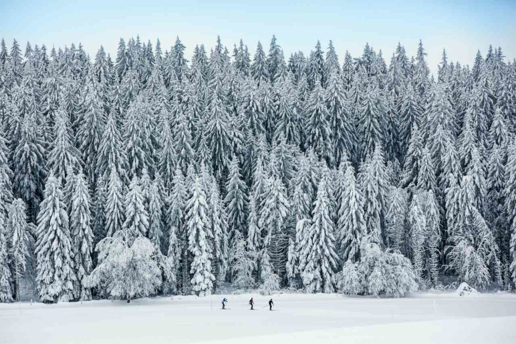 La Grande Boucle im Naturpark Doubs