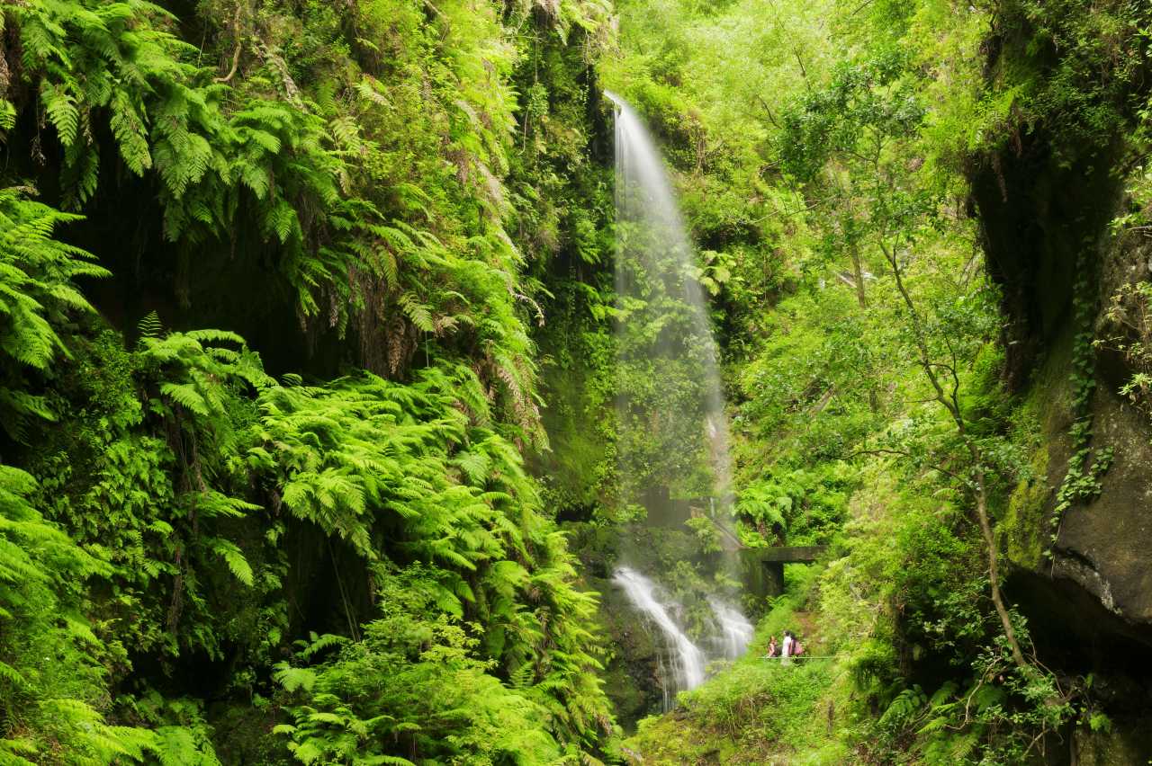 Wasserfall von Los Tilos