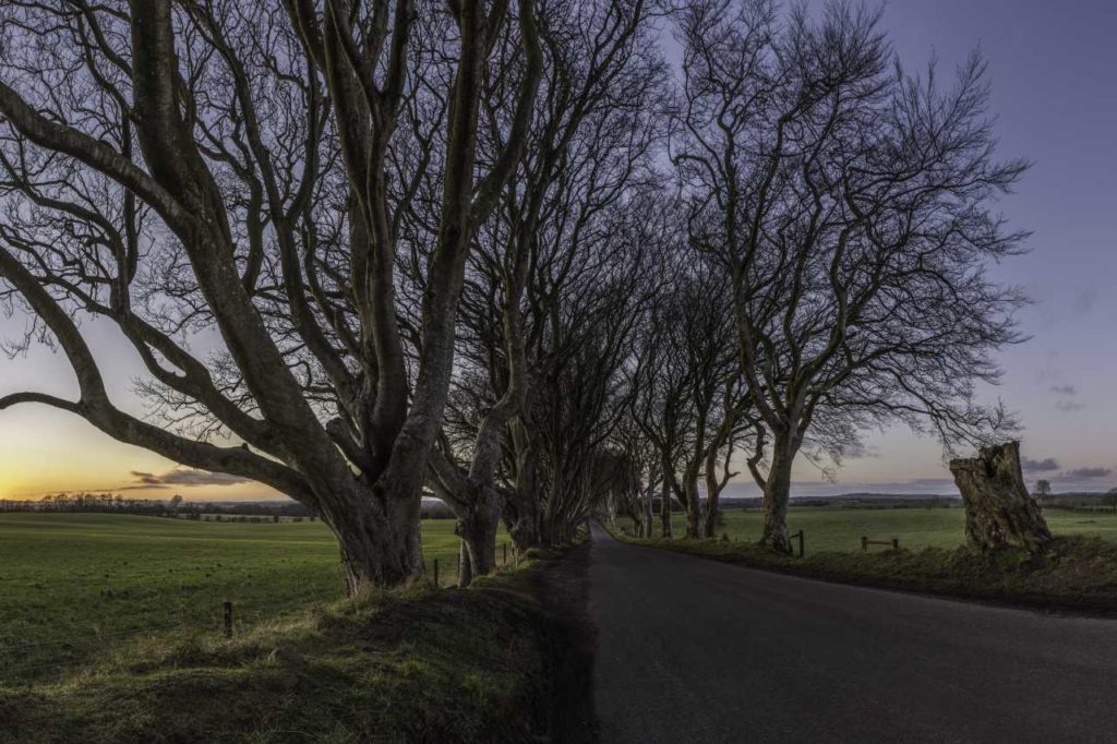 Baumallee Dark Hedges