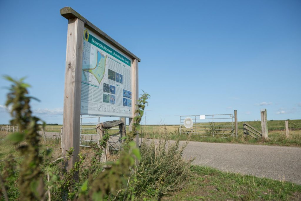 Informationstafel im Rickelsbüller Koog