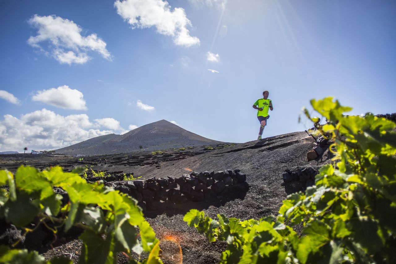 Läufer beim Lanzarote WineRun