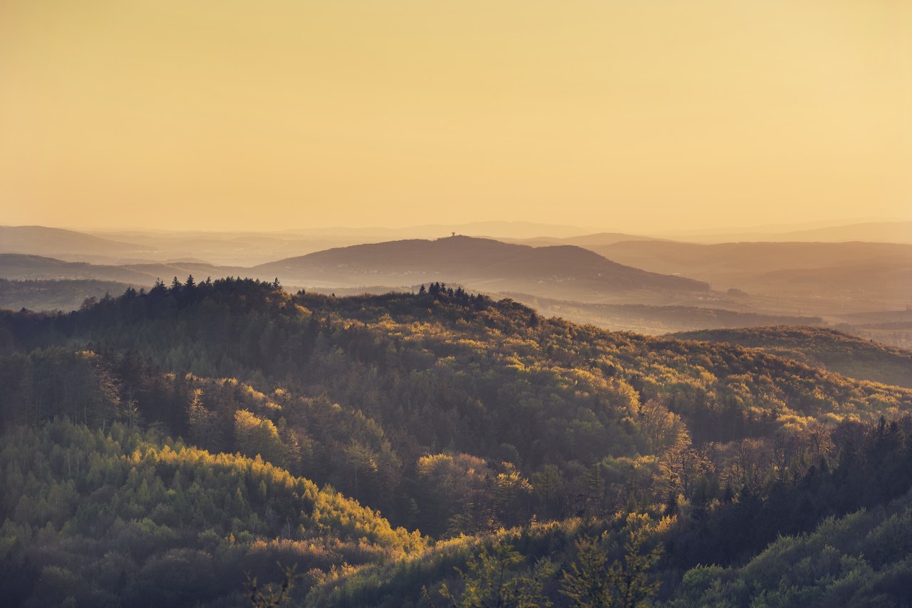 Biosphärenreservat Wienerwald von der Troppbergwarte