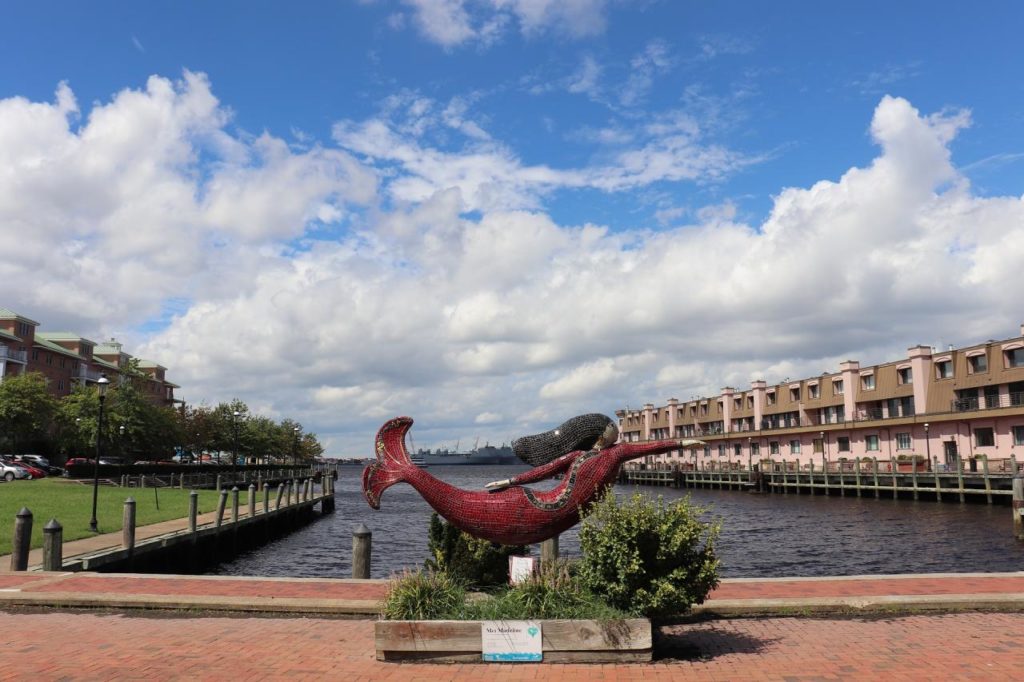 Elizabeth River Trail Norfolk Soundwalk