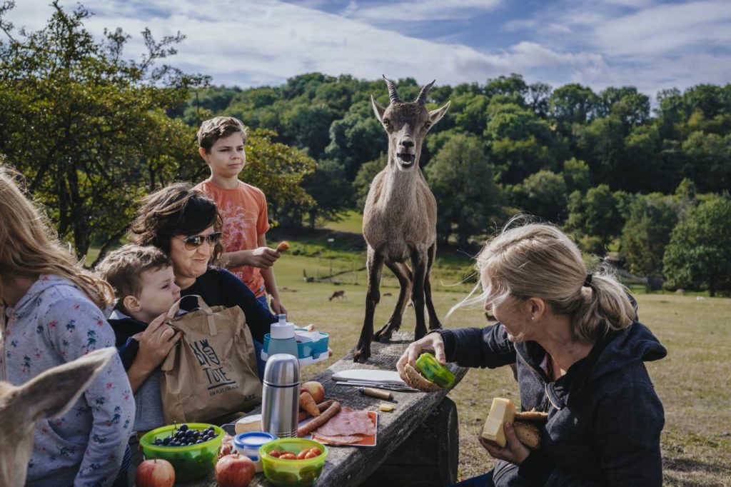 Familiensafari Naturwildpark Freisen