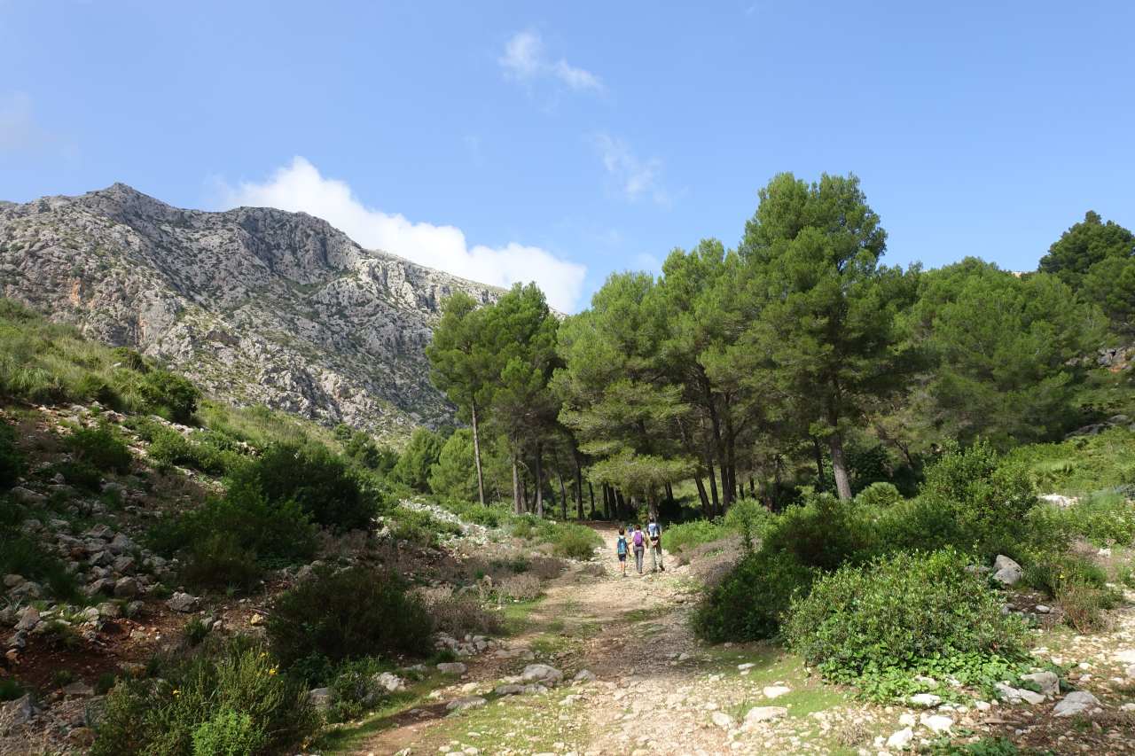 Mallorca auf die feine Art