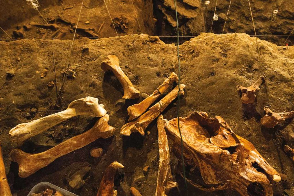Bärenknochen Grotta dell'Orso Monte Generoso