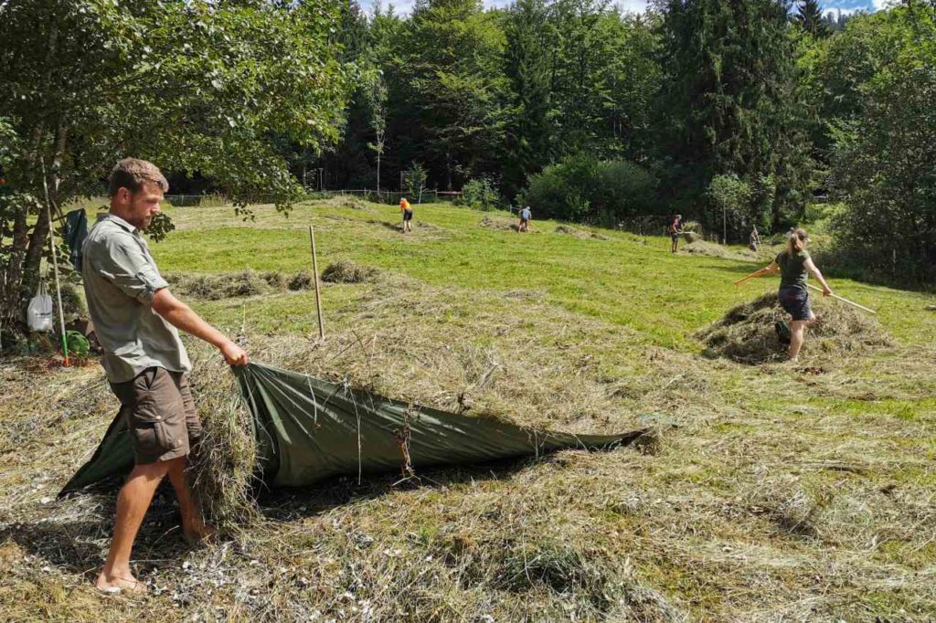 Freiwilligenprojekte im Ammertal