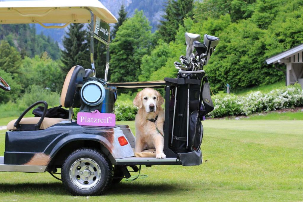 Golfclub Brandlhof Hunde willkommen