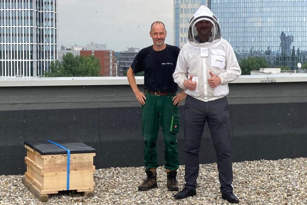 Bienenvolk Best Western Frankfurt