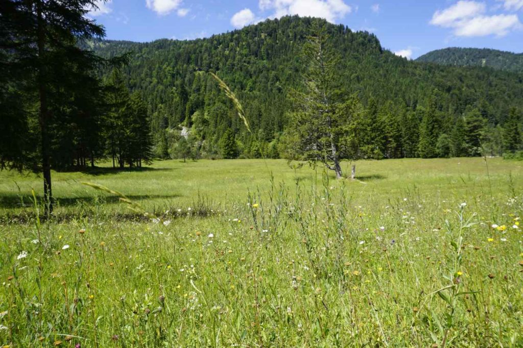 Rangertouren Natur Tölzer Land